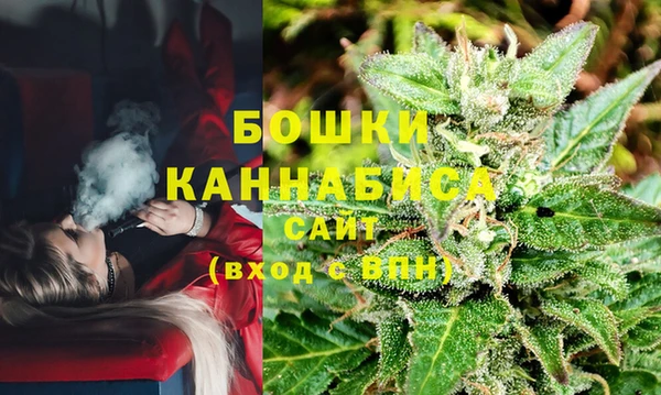 твердый Новозыбков