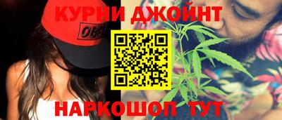 Альфа ПВП Бийск