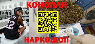 Альфа ПВП Бийск