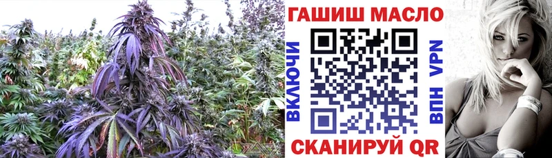 OMG tor  наркошоп  Нововоронеж  Дистиллят ТГК Wax 