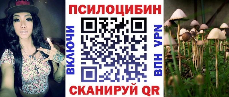 Псилоцибиновые грибы Magic Shrooms  Нововоронеж 