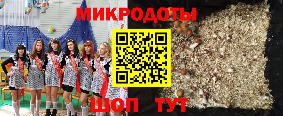 Нововоронеж  Псилоцибиновые грибы Magic Shrooms  Вход с VPN 
