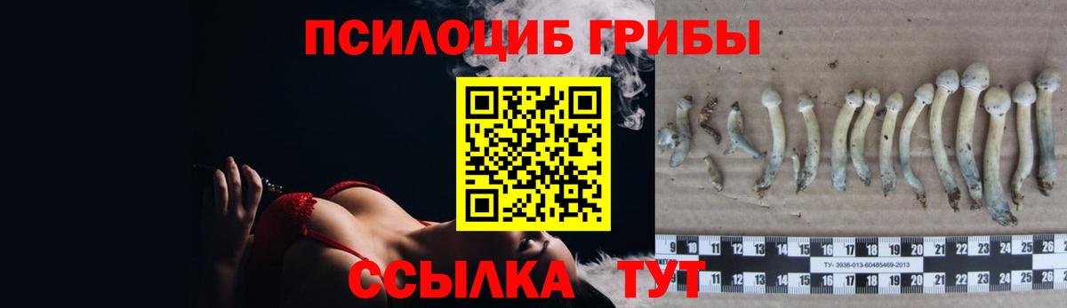 Галлюциногенные грибы ЛСД Нововоронеж